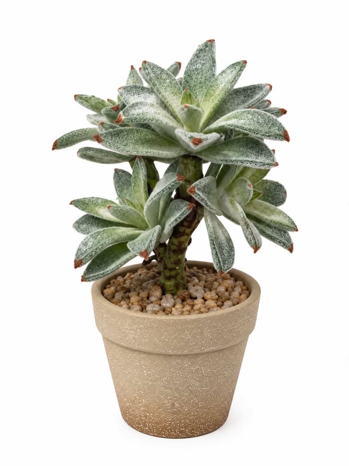 Kunstig plante i potte