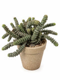 Kunstig plante i potte