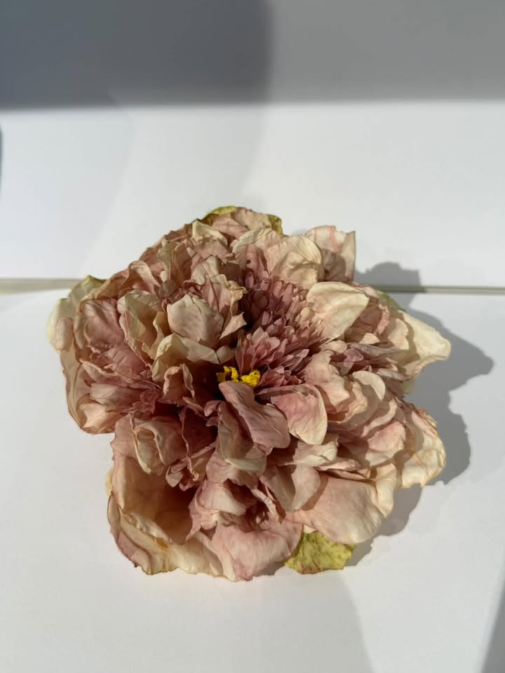Kunstig pæon i rosa