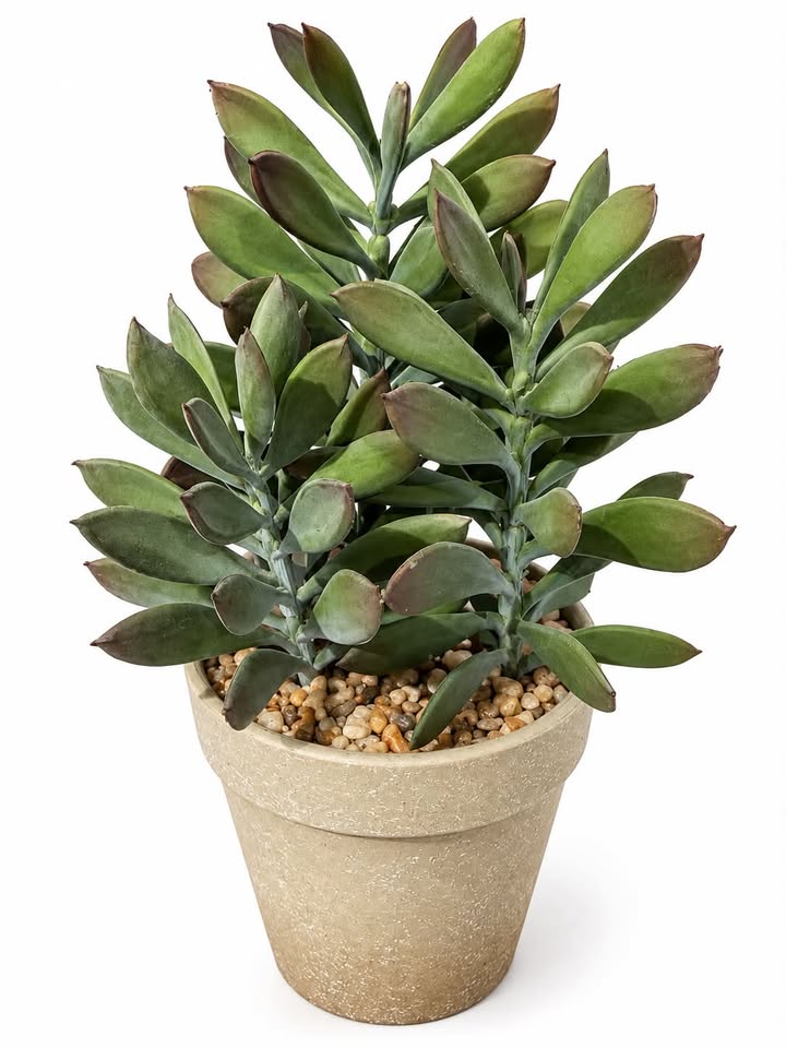 Kunstig plante i potte